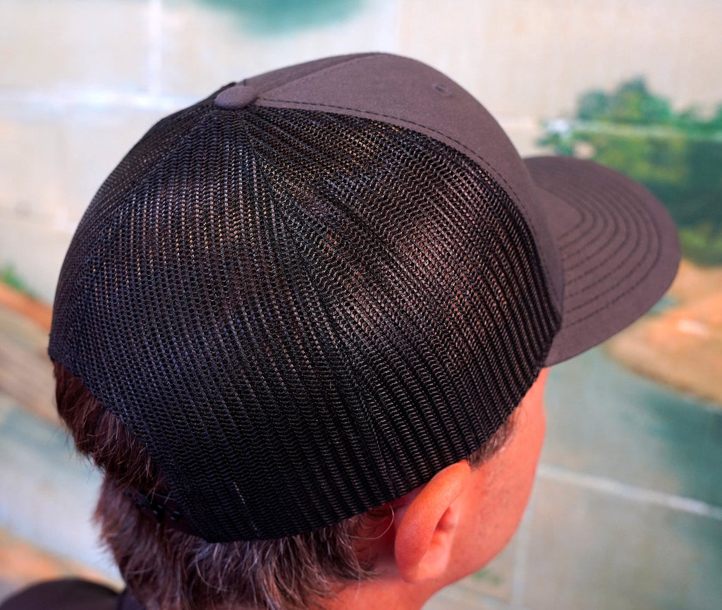 2 Color Cap